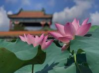 有福利！这个五一，我就在广州不走了~