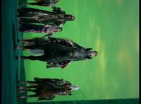 墓王之王：幽族入驻墓王城，大BOSS幽帝登场