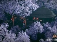 《墓王之王》国漫中美女的云集之地，任意一人排名国漫美女前列？