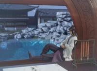 国产动画《书灵记》乐五音判断，顾七绝脸好看，脑子有坑