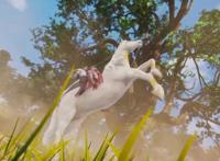 动画《书灵记》男主角是事儿精，荒山野岭要吃面，有马还要坐轮椅