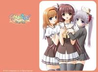 动漫：追过这些后宫番的人，必定是个老宅男！