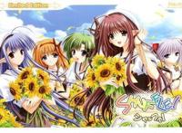 动漫：追过这些后宫番的人，必定是个老宅男！