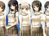 动漫：看完这几部后宫番，你也会爱上她们的！