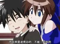 动漫：看完这几部后宫番，你也会爱上她们的！