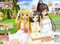 福利来了，不看就会后悔的后宫动漫