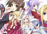 动漫：这几部后宫番，听说夜晚看更精彩哦！