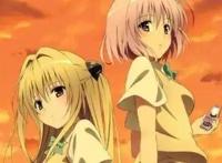 动漫：这些后宫番男主倒贴的都不要？浪费！