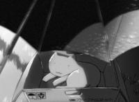 唯美向的那些每一帧都可以作为壁纸的细腻动漫