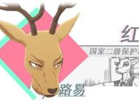 《动物狂想曲》你很少见动漫，看了大家都说不错