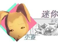 《动物狂想曲》你很少见动漫，看了大家都说不错