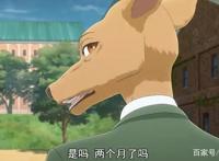 动物狂想曲：食肉动物和食草动物间能相爱吗？思想与本能的碰撞？