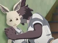 动物狂想曲：动物四角恋结果公布，兔狼突破天性终成眷属！