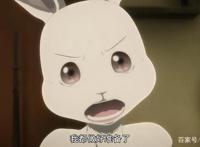 动物狂想曲：看完雷格西救哈鲁这集，本季最佳动漫就是它了