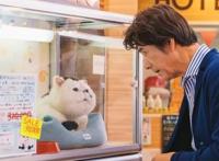 神作《动物狂想曲》排第8！以动物为主角的动漫排行