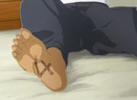 动物狂想曲：在最无力的年纪，遇上一个自己最想保护一生的那个她