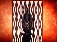 动物狂想曲：在最无力的年纪，遇上一个自己最想保护一生的那个她