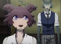 《动物狂想曲》第二季开播，“狼鹿”等cp归来，漫迷表示能磕糖了