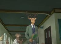 《动物狂想曲》，一部极其现实的动漫，少儿“不宜”观看