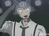 神仙新番Beastars《动物狂想曲》