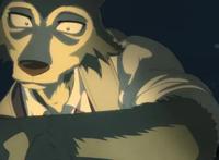 《动物狂想曲》从少年漫转为青年漫，只因兔子撩了狼