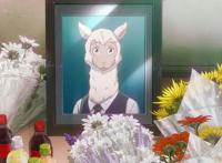 《动物狂想曲》从少年漫转为青年漫，只因兔子撩了狼