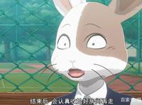 风评被害的宝藏番？《动物狂想曲BEASTARS》，表示有被惊艳到！