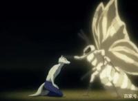 动物狂想曲11话，食草动物食肉动物双向肯定，伊吹悲伤落幕