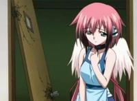 没有这些从天而降的动漫妹子，男主根本开不了后宫！