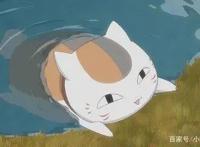 动漫中的猫咪，不仅仅很可爱，还很独特