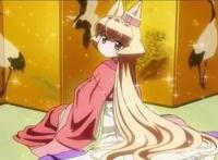 动漫中的猫咪，不仅仅很可爱，还很独特