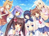 萌即是正义，盘点动漫中的猫耳娘，知道东京喵喵都已经成年了吧