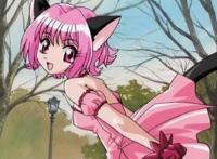 萌即是正义，盘点动漫中的猫耳娘，知道东京喵喵都已经成年了吧