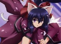 你还记得那些猫耳娘？这些猫耳娘你想带回家吗？