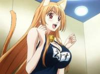 盘点：动漫猫耳娘，萌即是正义