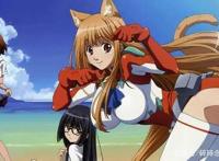 萌即正义！美少女动画新体验——补番推荐：《玩伴猫耳娘》