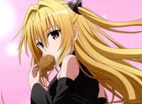 10年前的老司机们都看啥后宫动漫？比现在高了不止一点半点