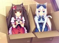 猫耳娘入住我家！这些动漫的男主还嫌麻烦，网友：这猫放着我来！