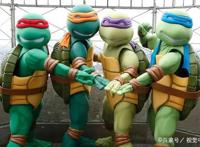 动漫中经典乌龟形象的原型是什么，你知道吗？