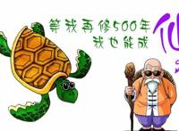 动漫中经典乌龟形象的原型是什么，你知道吗？