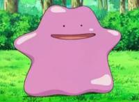 这七个能幻变成人形的神奇宝贝，其中一只想嫁给小智！