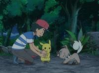 精灵宝可梦：继忍蛙后又一特例，稀有程度超越所有宝可梦？