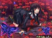 【地狱少女三鼎】——两片血色的花瓣，一个叫因，一个叫果
