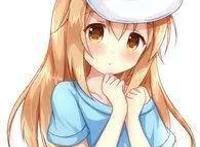 十月新番怎么看？当然是选择躺着看了啊！