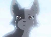 都说小破站的国漫讨论度高，《百妖谱》却并非如此，这是为什么