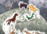 活久见系列，《水果篮子》新动画2019年开播哦