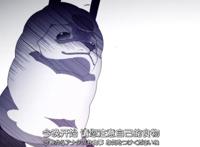 实况主的逃脱游戏：整天咕咕咕？“鸽子精”阿婆主们的生存大冒险