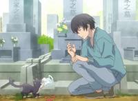 治愈系动漫《同居人是猫》来自冬日里的一丝温暖，这份猫粮我吃！