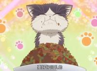 治愈系动漫《同居人是猫》来自冬日里的一丝温暖，这份猫粮我吃！