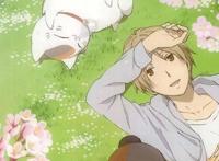 补番推荐：盘点高分治愈番，催泪系神作